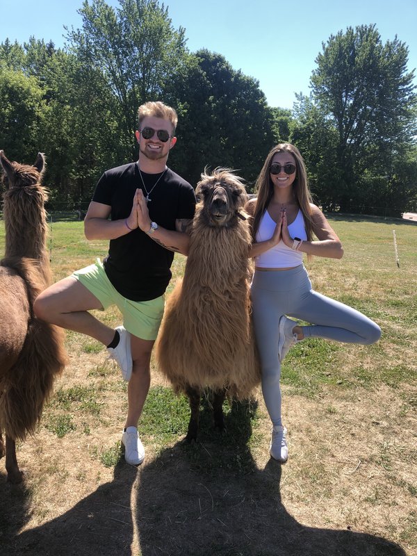Yoga with Llamas, Carlson's Llovable Llamas